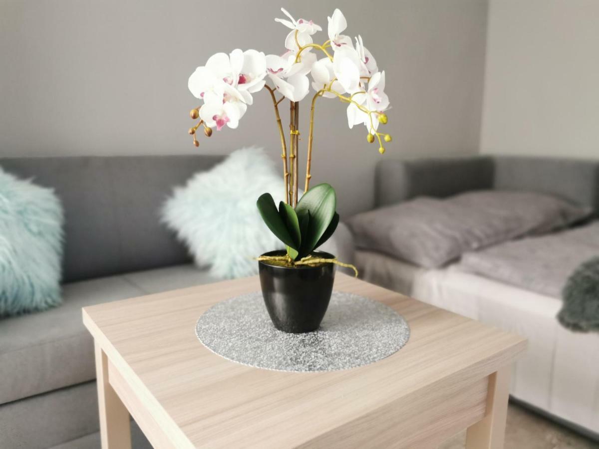 Apartament Gorska 8 - Blisko Centrum ชเวียราโดว์-สโดรยจ์ ภายนอก รูปภาพ